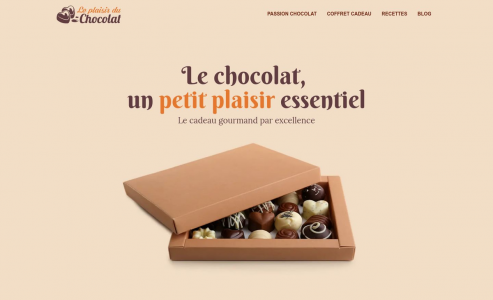 https://www.leplaisirduchocolat.com