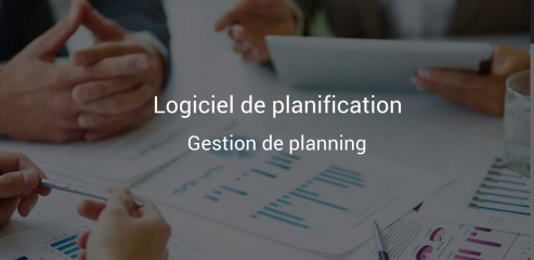 https://www.logiciel-planification.net