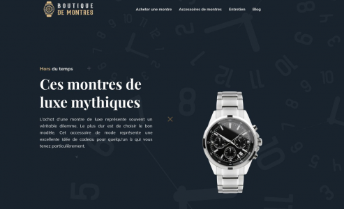 https://www.boutiquedemontres.fr/